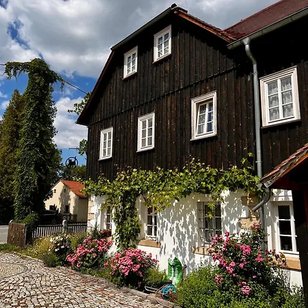 Schwarzer Kater * Großschönau