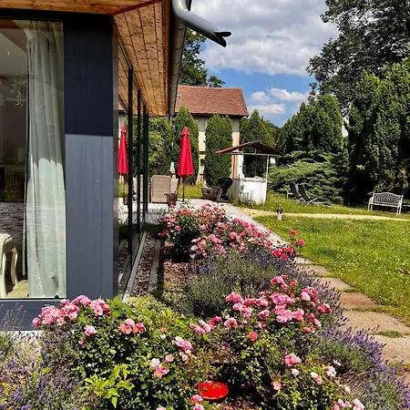 Schwarzer Kater Vakantiehuis