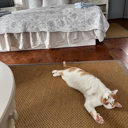 Vakantiehuis Schwarzer Kater Großschönau