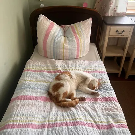 Schwarzer Kater Vakantiehuis *