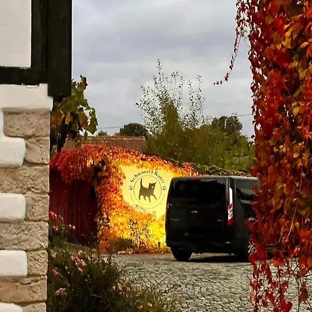 Schwarzer Kater Großschönau