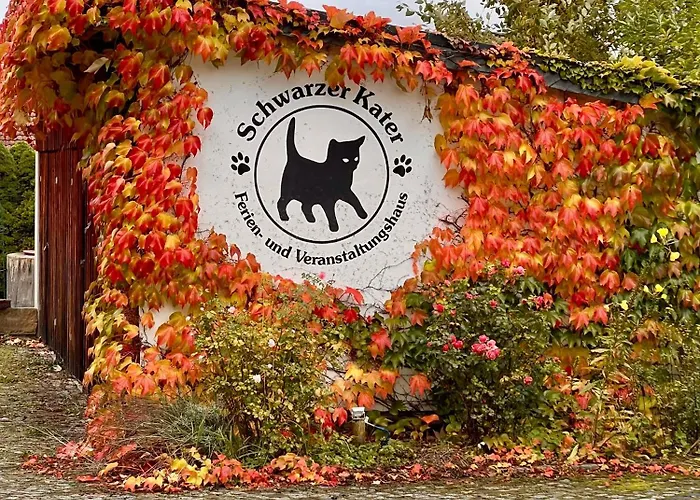 Schwarzer Kater غروسشوناو