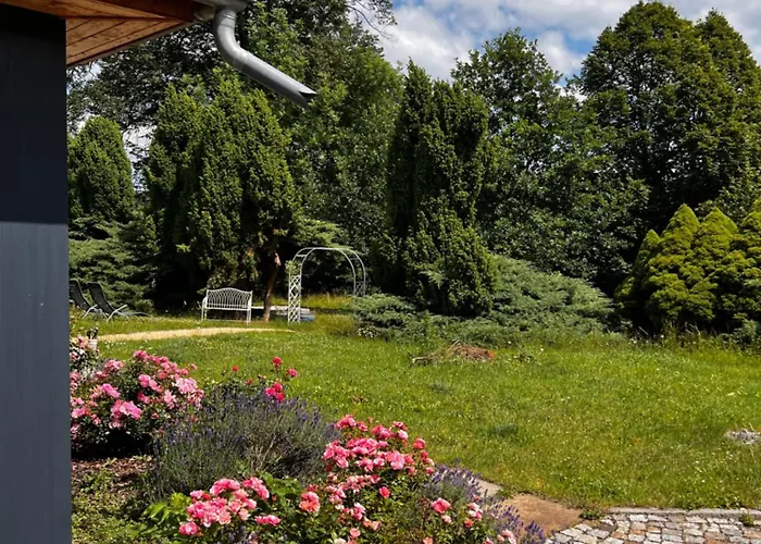 بيت للعطل Schwarzer Kater