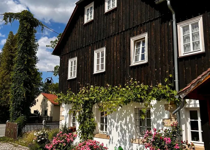 Schwarzer Kater * غروسشوناو