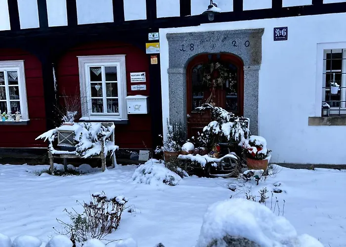 بيت للعطل Schwarzer Kater *