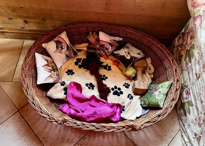 بيت للعطل Schwarzer Kater *