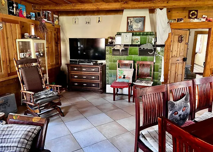 Schwarzer Kater * غروسشوناو