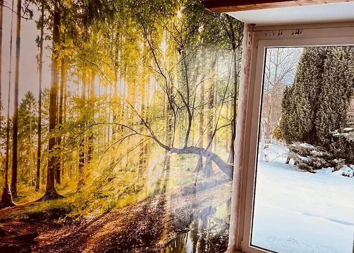 Schwarzer Kater بيت للعطل