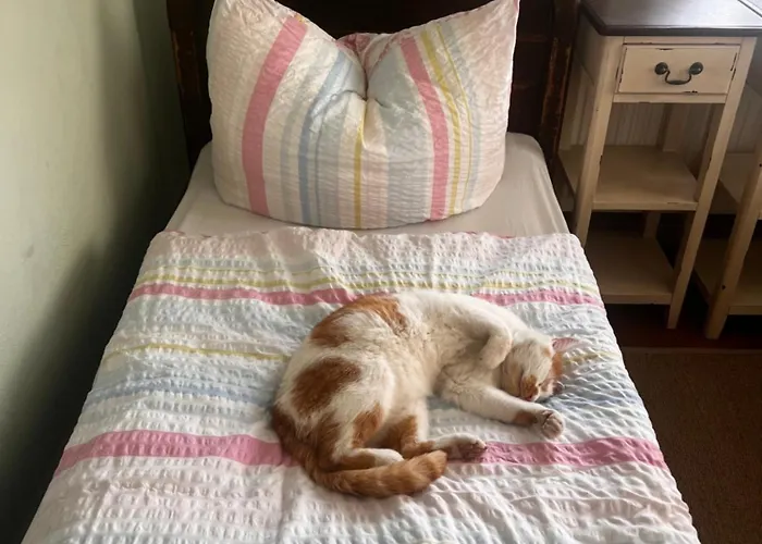 Schwarzer Kater بيت للعطل *