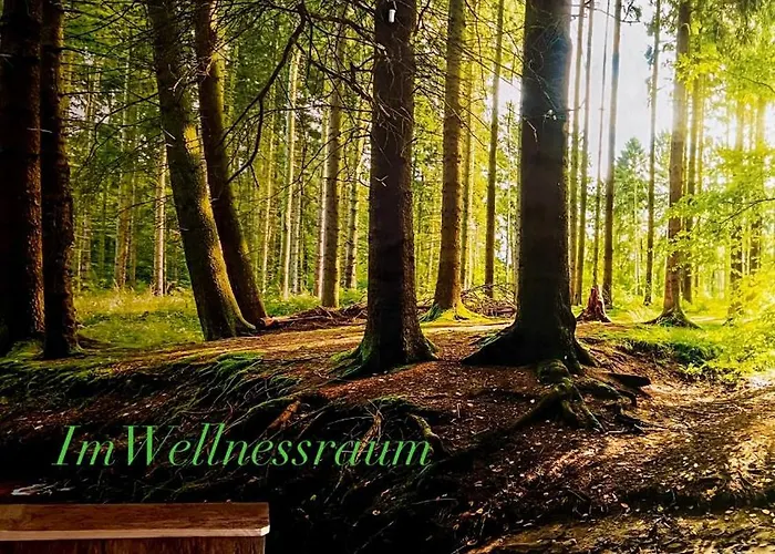 Schwarzer Kater بيت للعطل *