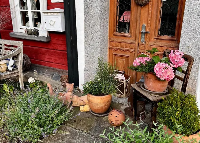 بيت للعطل Schwarzer Kater *